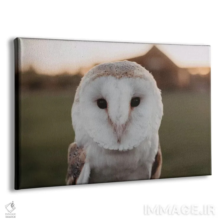 تابلو جغد انباری اثر چلسیا ویکتوریا - نمای پرسپکتیو محصول