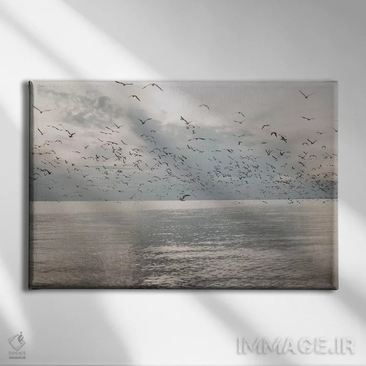 تابلو مرغان دریایی بر فراز دریا اثر چلسیا ویکتوریا - نمای روبهرو روی دیوار