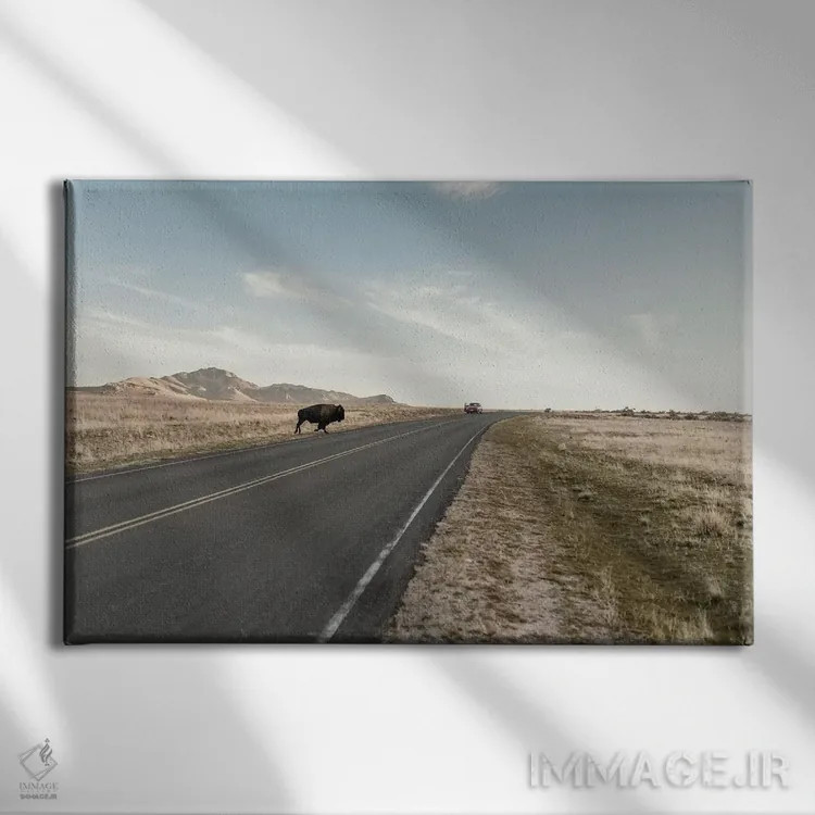 تابلو عصبانی نباش اثر چلسیا ویکتوریا - نمای روبهرو روی دیوار