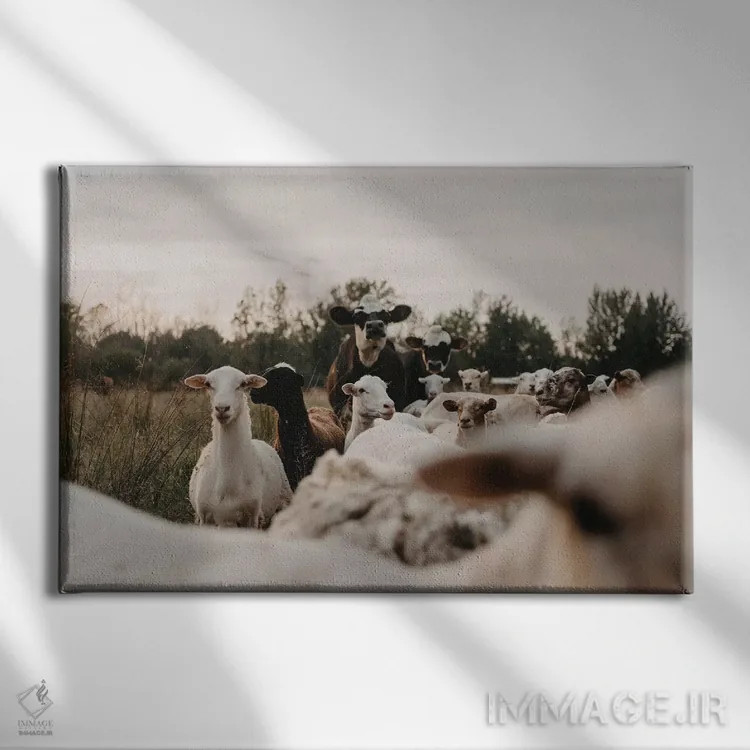 تابلو همهٔ گروه اینجاست اثر چلسیا ویکتوریا - نمای روبهرو روی دیوار