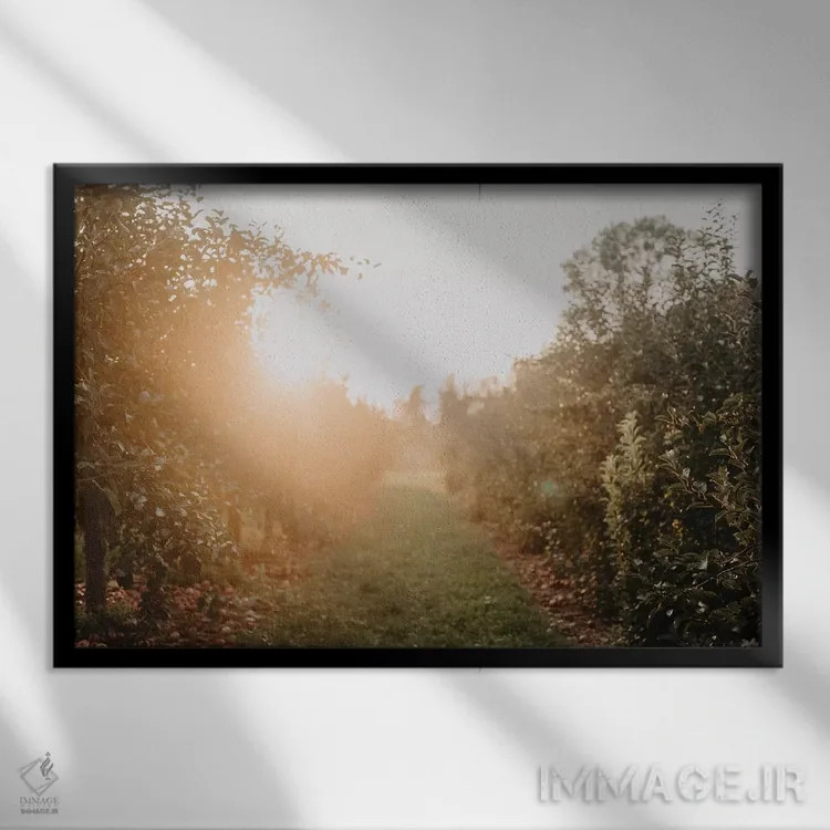 تابلو باغ سیب اثر چلسیا ویکتوریا - نمای قابدار مشکی