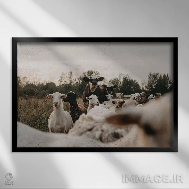 تابلو همهٔ گروه اینجاست اثر چلسیا ویکتوریا - نمای قابدار مشکی