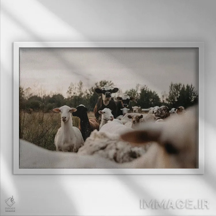 تابلو همهٔ گروه اینجاست اثر چلسیا ویکتوریا - نمای قابدار سفید