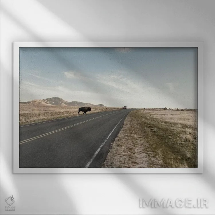 تابلو عصبانی نباش اثر چلسیا ویکتوریا - نمای قابدار سفید