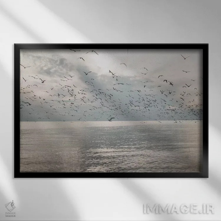 تابلو مرغان دریایی بر فراز دریا اثر چلسیا ویکتوریا - نمای قابدار مشکی