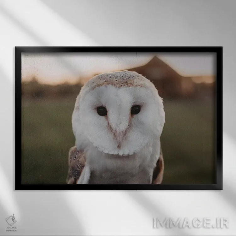 تابلو جغد انباری اثر چلسیا ویکتوریا - نمای قابدار مشکی