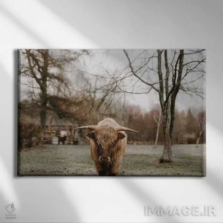 تابلو سال گاو (اشتباه تایپی: bull) اثر چلسیا ویکتوریا - نمای روبهرو روی دیوار