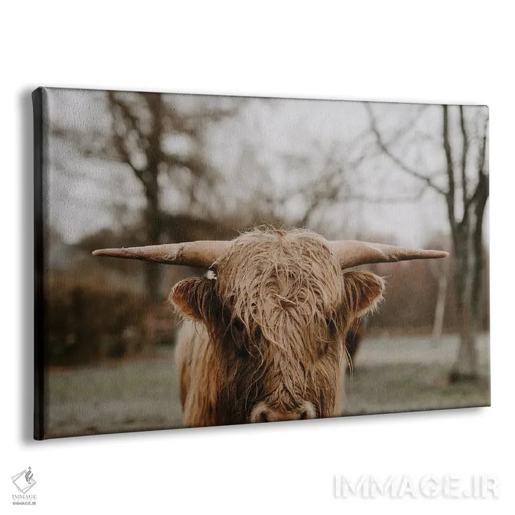 تابلو ثور (نماد گاو در طالعبینی) اثر چلسیا ویکتوریا - نمای پرسپکتیو محصول