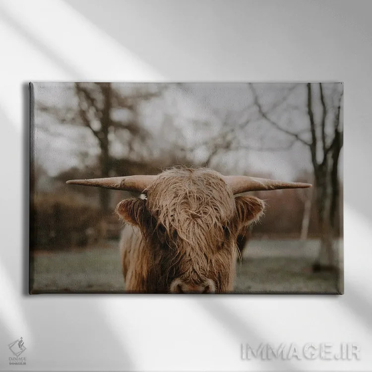 تابلو ثور (نماد گاو در طالعبینی) اثر چلسیا ویکتوریا - نمای روبهرو روی دیوار