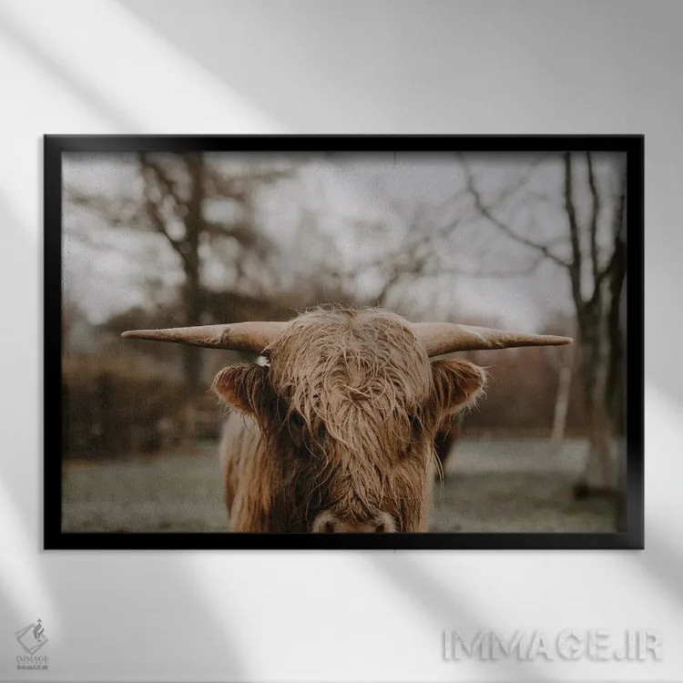 تابلو ثور (نماد گاو در طالعبینی) اثر چلسیا ویکتوریا - نمای قابدار مشکی