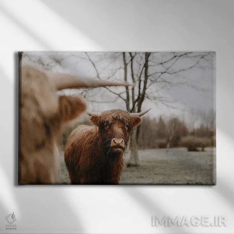 تابلو ما دو نفر اثر چلسیا ویکتوریا - نمای روبهرو روی دیوار