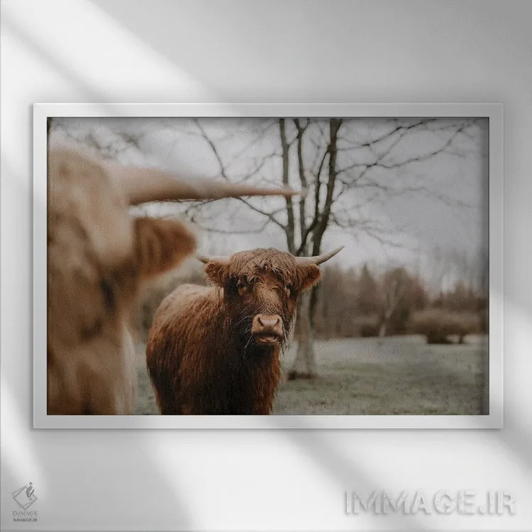 تابلو ما دو نفر اثر چلسیا ویکتوریا - نمای قابدار سفید