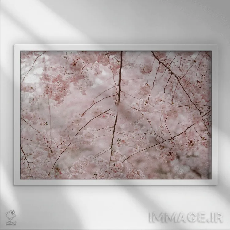 تابلو تب گیلاس اثر چلسیا ویکتوریا - نمای قابدار سفید