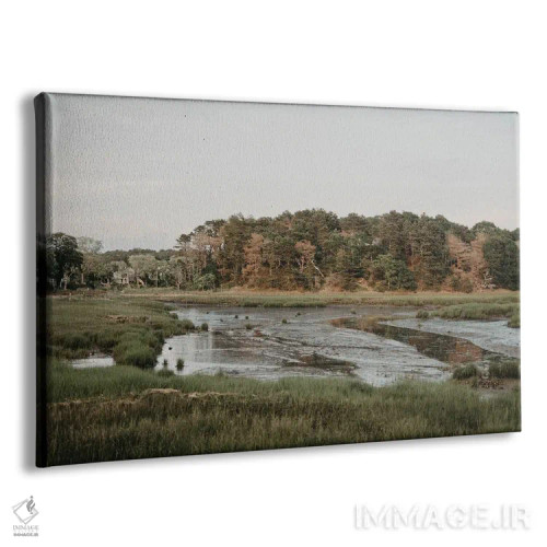 تابلو باتلاقهای کیپ کاد اثر چلسیا ویکتوریا - نمای پرسپکتیو محصول