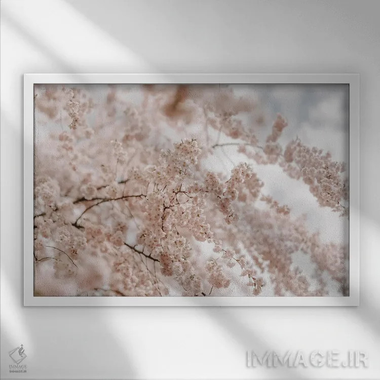 تابلو به سوی خورشید اثر چلسیا ویکتوریا - نمای قابدار سفید