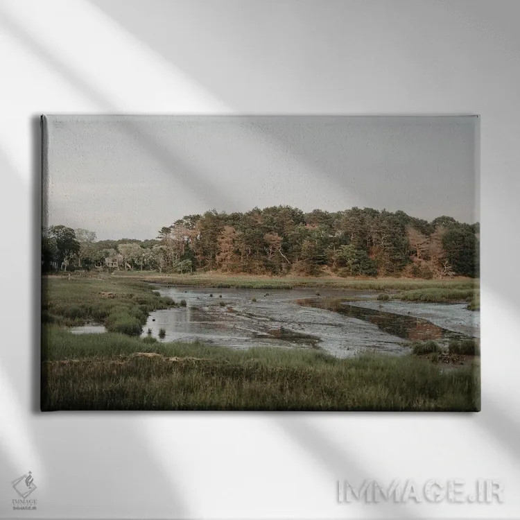 تابلو باتلاقهای کیپ کاد اثر چلسیا ویکتوریا - نمای روبهرو روی دیوار