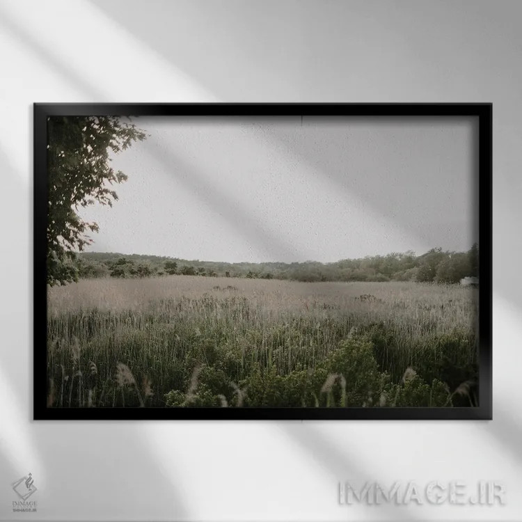 تابلو باتلاقهای ولفلیت اثر چلسیا ویکتوریا - نمای قابدار مشکی