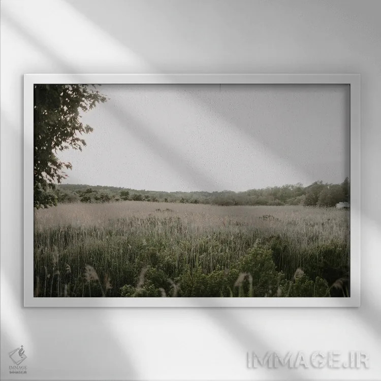 تابلو باتلاقهای ولفلیت اثر چلسیا ویکتوریا - نمای قابدار سفید