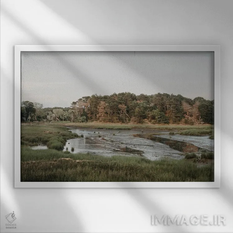 تابلو باتلاقهای کیپ کاد اثر چلسیا ویکتوریا - نمای قابدار سفید