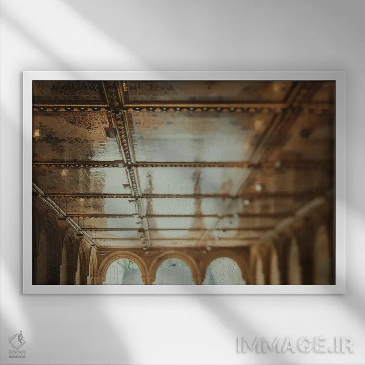 تابلو بثزدا (محوطه یا فواره معروف در نیویورک) اثر چلسیا ویکتوریا - نمای قابدار سفید