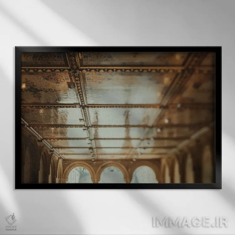 تابلو بثزدا (محوطه یا فواره معروف در نیویورک) اثر چلسیا ویکتوریا - نمای قابدار مشکی