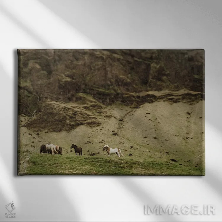 تابلو اسبها در ایسلند اثر چلسیا ویکتوریا - نمای روبهرو روی دیوار