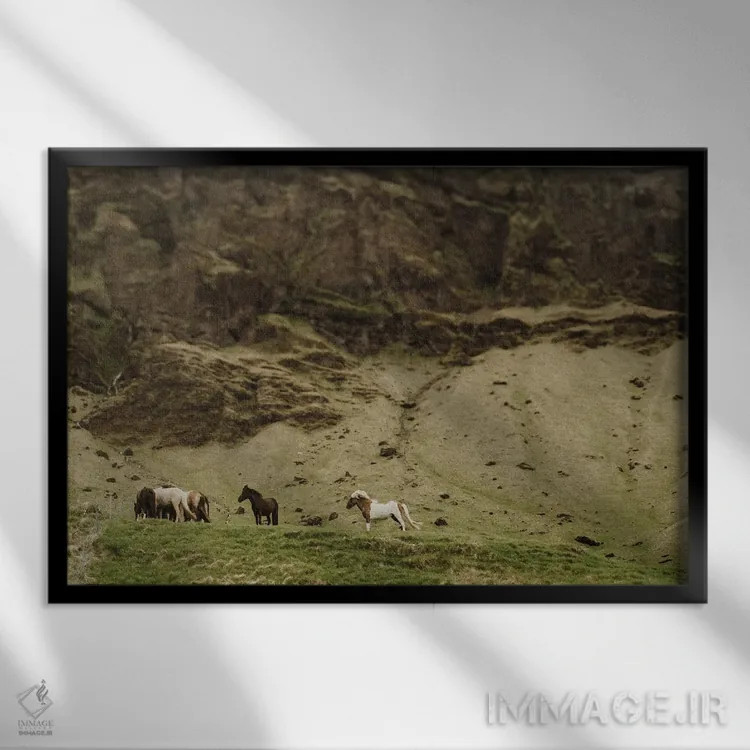 تابلو اسبها در ایسلند اثر چلسیا ویکتوریا - نمای قابدار مشکی