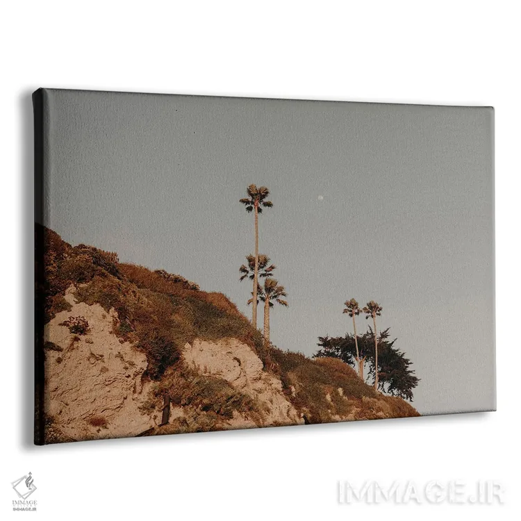 تابلو طلوع مالیبو اثر چلسیا ویکتوریا - نمای پرسپکتیو محصول