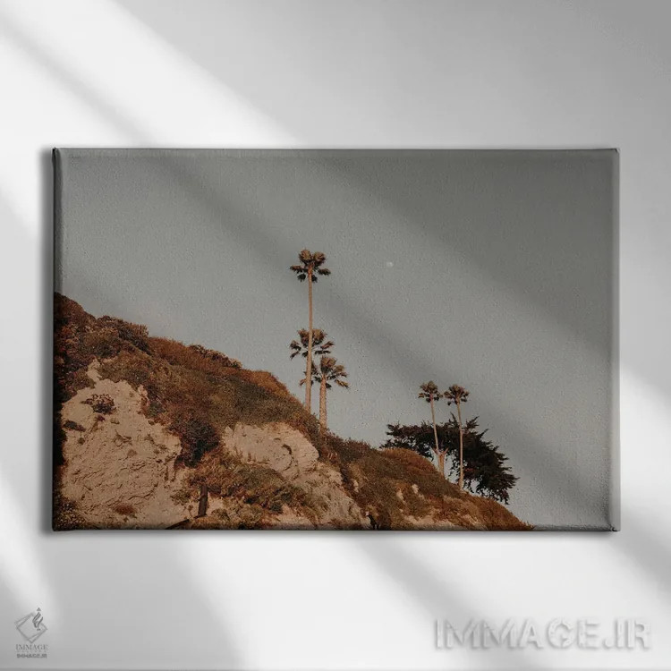 تابلو طلوع مالیبو اثر چلسیا ویکتوریا - نمای روبهرو روی دیوار