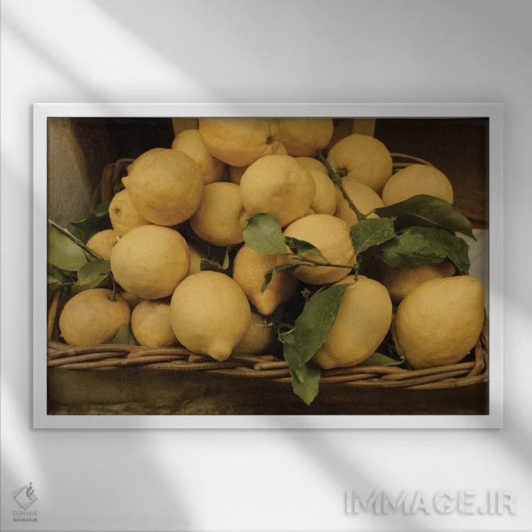 تابلو لیموهای ایتالیایی اثر چلسیا ویکتوریا - نمای قابدار سفید