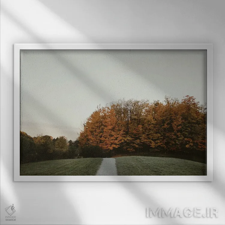 تابلو کیمیاگری پاییز اثر چلسیا ویکتوریا - نمای قابدار سفید