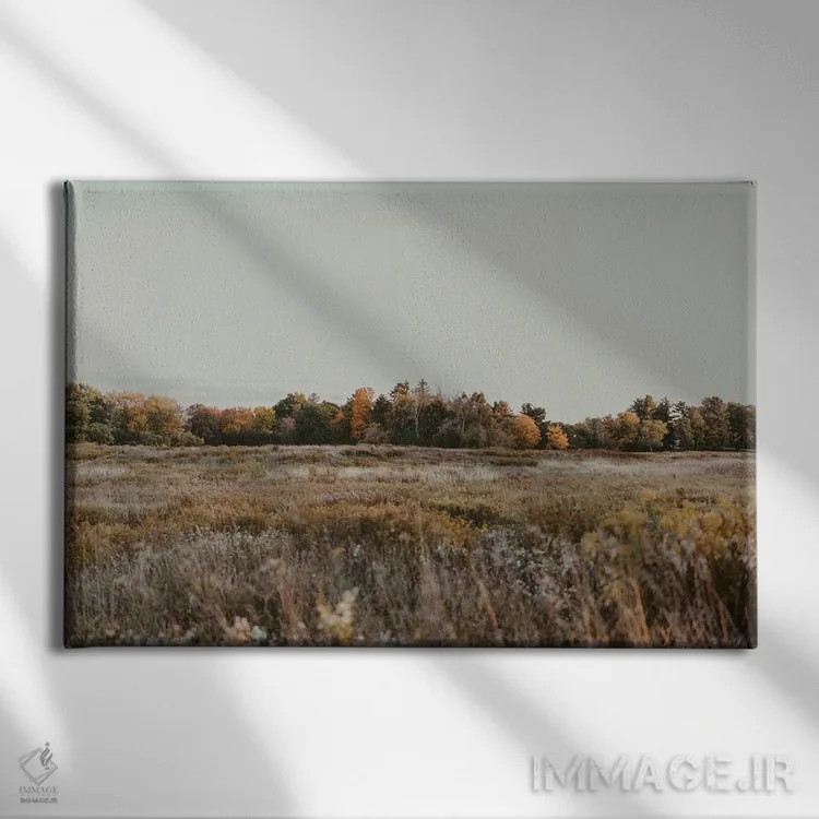 تابلو منظره پاییزی در مین اثر چلسیا ویکتوریا - نمای روبهرو روی دیوار