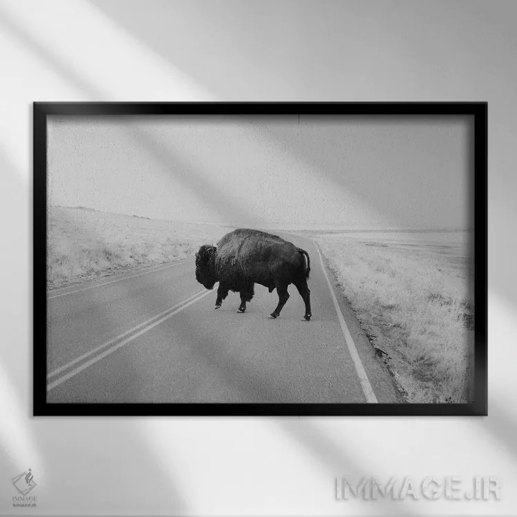 تابلو بوفالو سیاهوسفید اثر چلسیا ویکتوریا - نمای قابدار مشکی