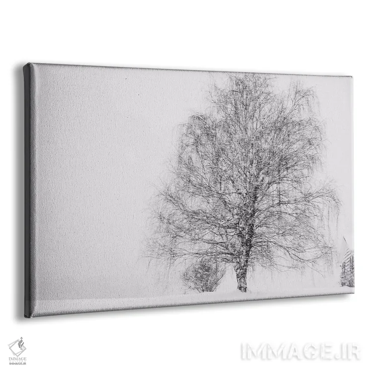 تابلو دوباره برف اثر چلسیا ویکتوریا - نمای پرسپکتیو محصول