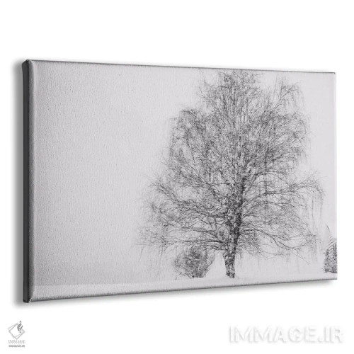 تابلو دوباره برف اثر چلسیا ویکتوریا - نمای پرسپکتیو محصول