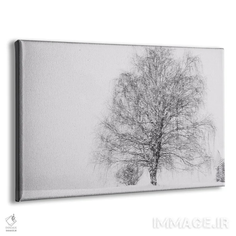 تابلو دوباره برف اثر چلسیا ویکتوریا - نمای پرسپکتیو محصول