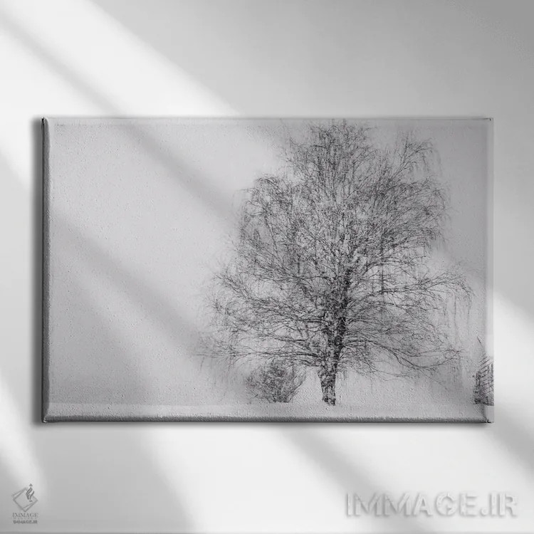 تابلو دوباره برف اثر چلسیا ویکتوریا - نمای روبهرو روی دیوار