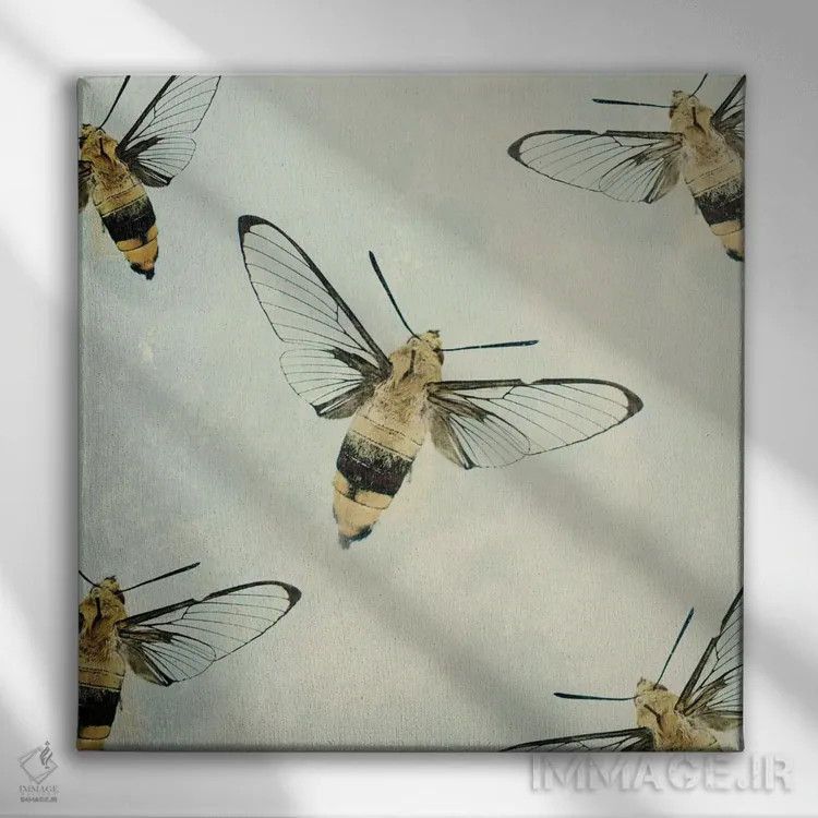 تابلو کندو (اشاره به طرفداران بیانسه) اثر چلسیا ویکتوریا - نمای روبهرو روی دیوار