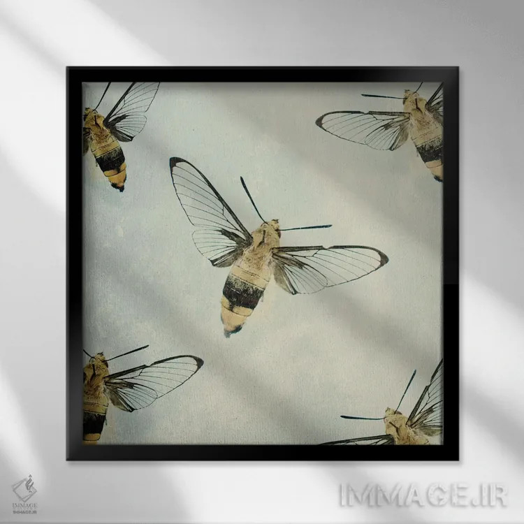 تابلو کندو (اشاره به طرفداران بیانسه) اثر چلسیا ویکتوریا - نمای قابدار مشکی