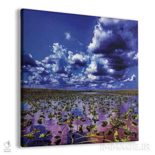 تابلو اورگلیدز (پارک ملی فلوریدا) اثر کیتلین ورا - نمای پرسپکتیو محصول