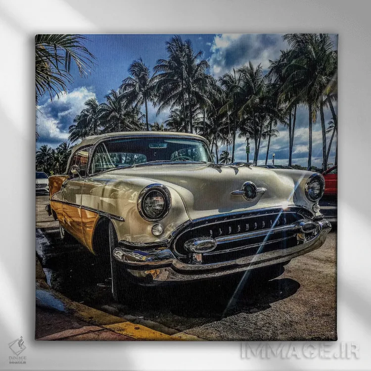 تابلو میامی (شهر آمریکا) اثر کیتلین ورا - نمای روبهرو روی دیوار