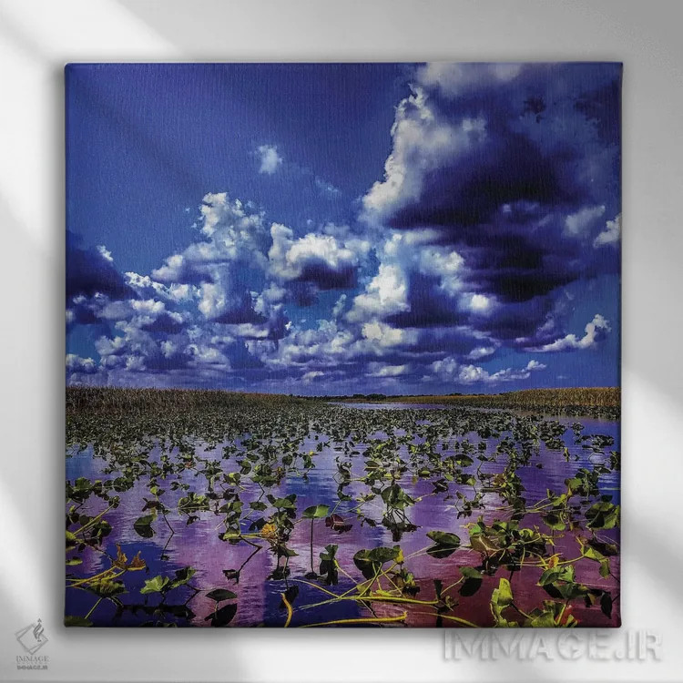 تابلو اورگلیدز (پارک ملی فلوریدا) اثر کیتلین ورا - نمای روبهرو روی دیوار