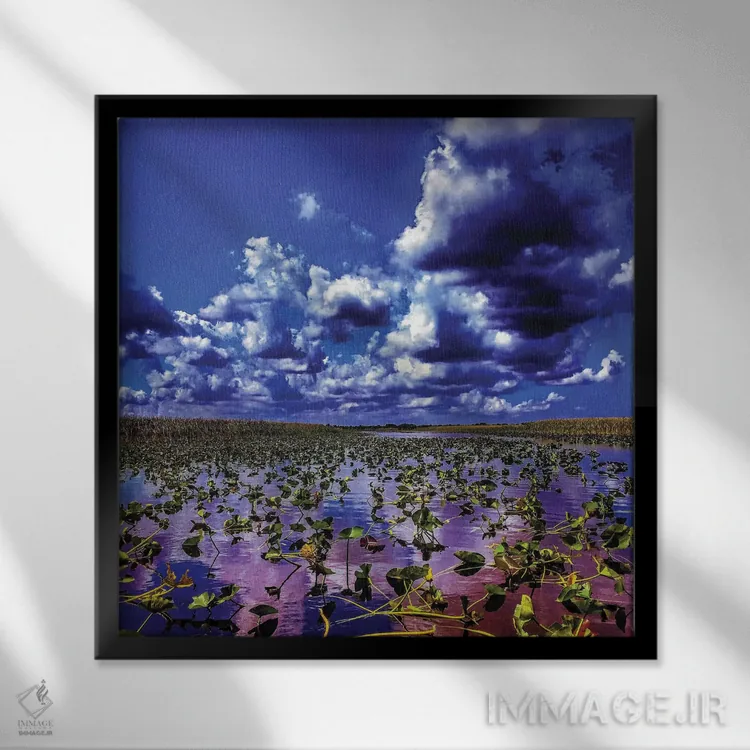 تابلو اورگلیدز (پارک ملی فلوریدا) اثر کیتلین ورا - نمای قابدار مشکی