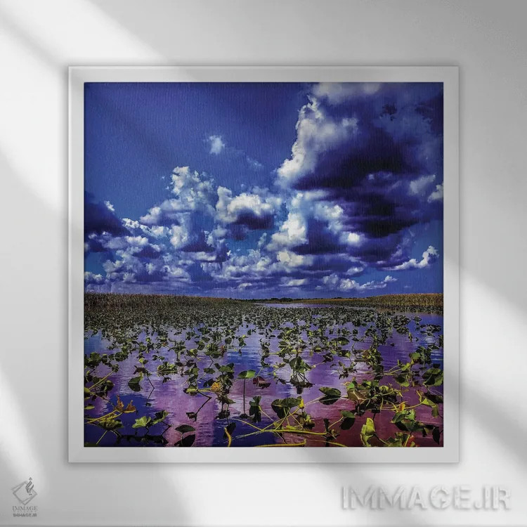 تابلو اورگلیدز (پارک ملی فلوریدا) اثر کیتلین ورا - نمای قابدار سفید