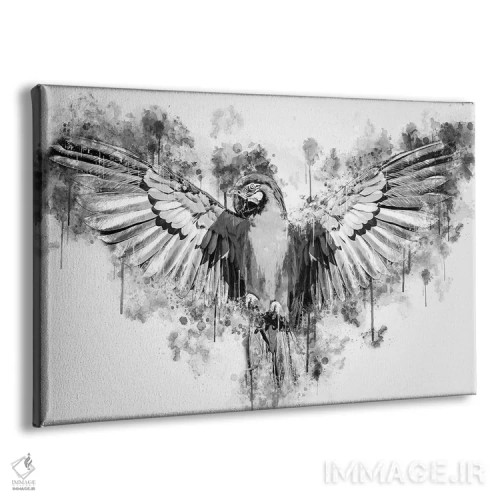 تابلو طوطی در سیاه و سفید اثر کورنل ولاد - نمای پرسپکتیو محصول