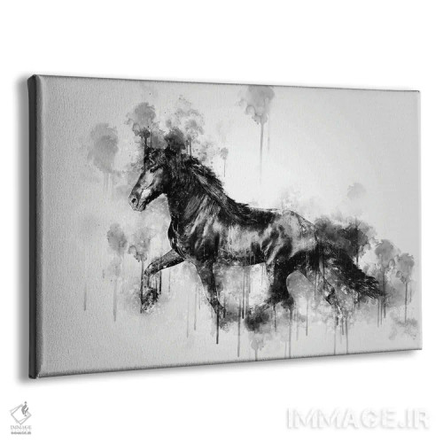 تابلو اسب در حال دویدن در سیاه و سفید اثر کورنل ولاد - نمای پرسپکتیو محصول