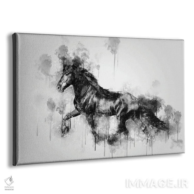 تابلو اسب در حال دویدن در سیاه و سفید اثر کورنل ولاد - نمای پرسپکتیو محصول