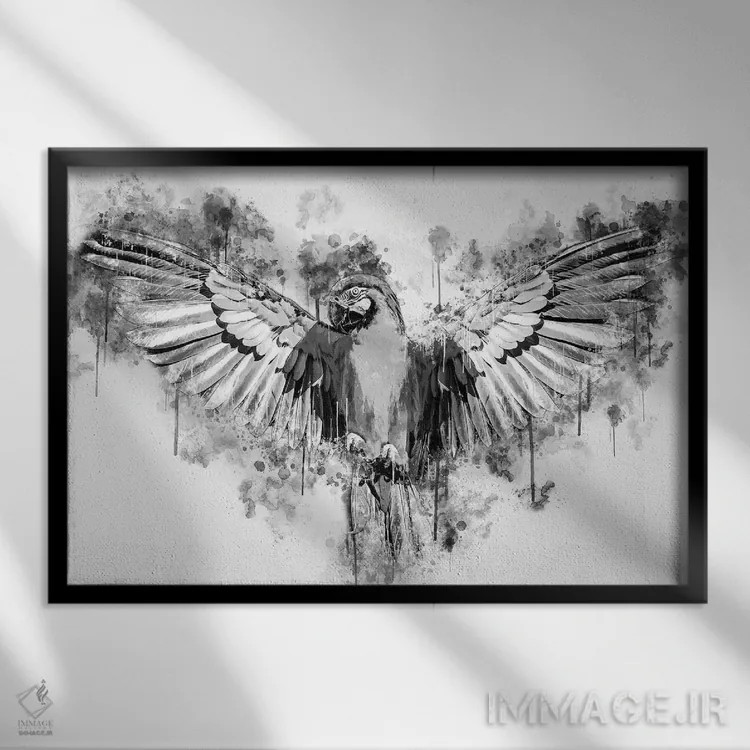 تابلو طوطی در سیاه و سفید اثر کورنل ولاد - نمای قابدار مشکی