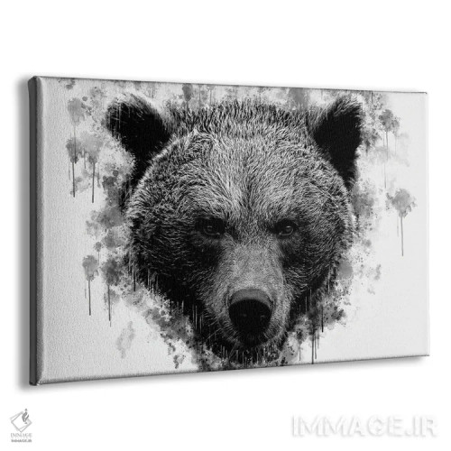 تابلو سر خرس قهوهای در سیاه و سفید اثر کورنل ولاد - نمای پرسپکتیو محصول