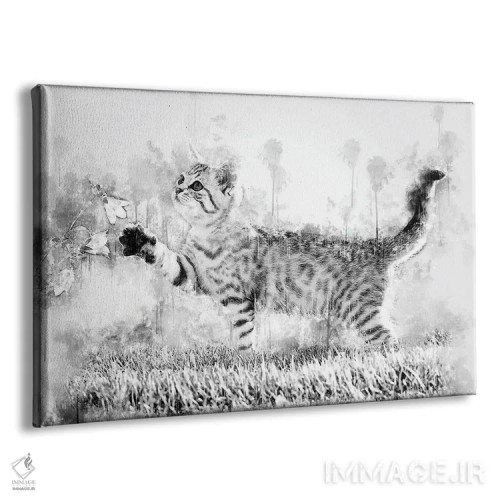 تابلو بچه گربه با گل در سیاه و سفید اثر کورنل ولاد - نمای پرسپکتیو محصول